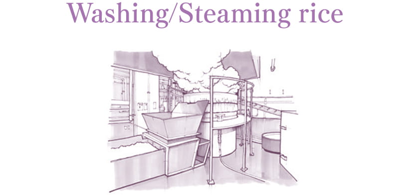 Washing/Steaming rice