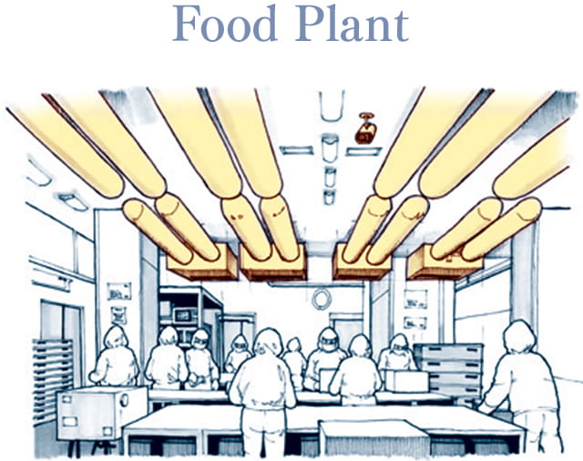 Food Plant