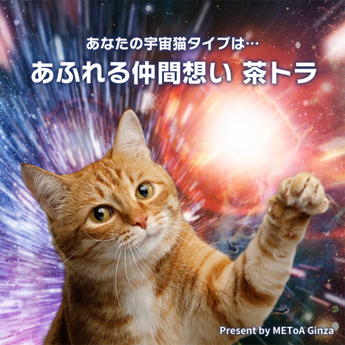あふれる仲間想い 茶トラ 宇宙猫診断 Hope For Universe イベント Metoa Ginza ウェブサイト
