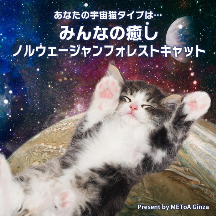 みんなの癒し ノルウェージャンフォレストキャット 宇宙猫診断 Hope For Universe イベント Metoa Ginza ウェブサイト