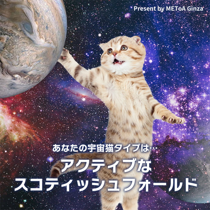 アクティブな スコティッシュフォールド 宇宙猫診断 Hope For Universe イベント Metoa Ginza ウェブサイト