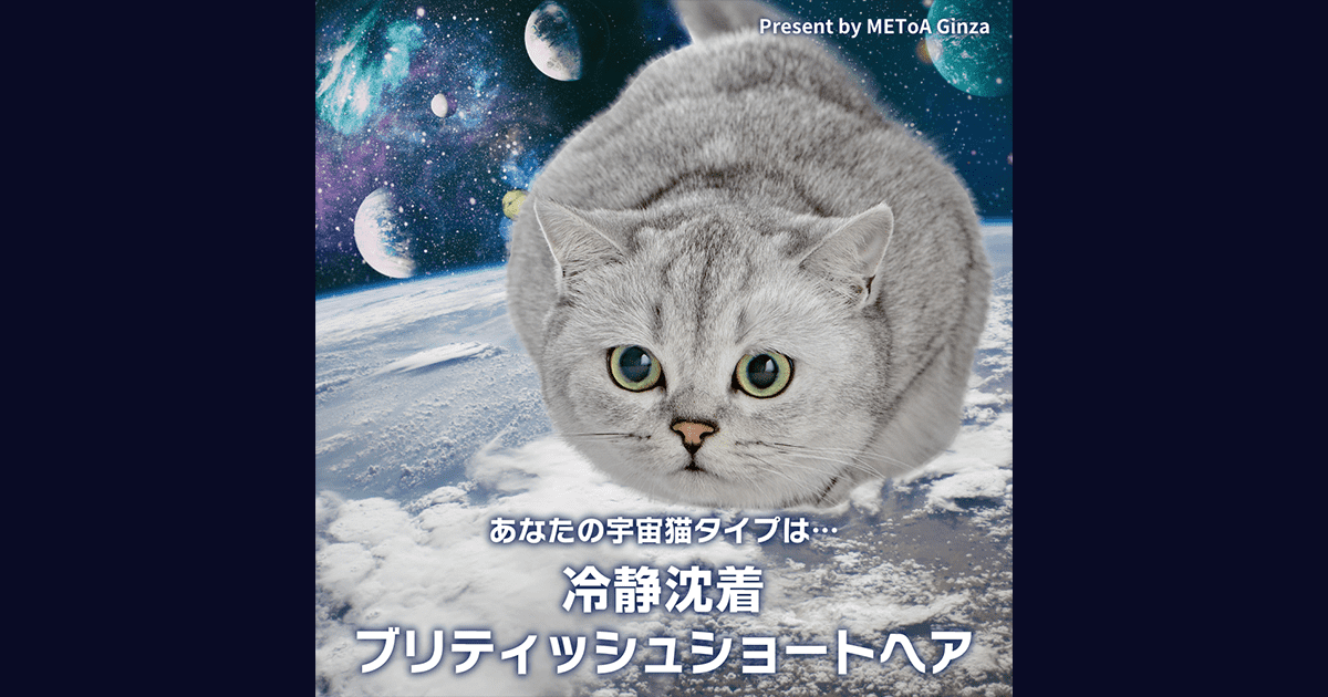 冷静沈着 ブリティッシュショートヘア｜宇宙猫診断 ｜ HOPE FOR 