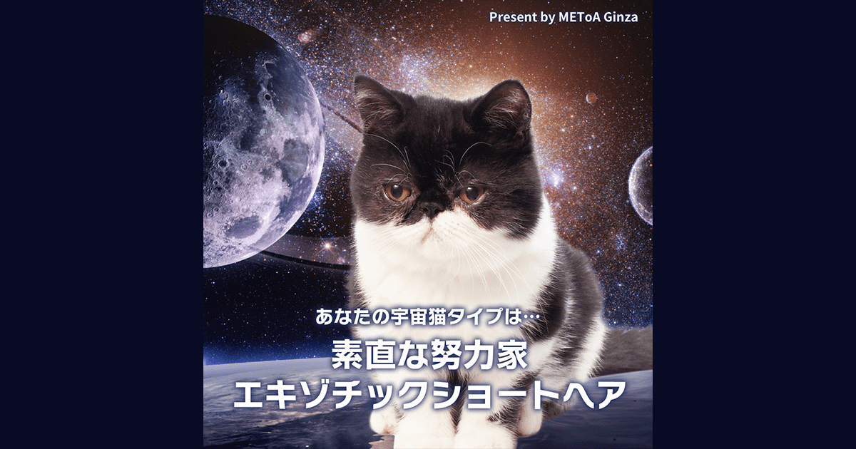 素直な努力家 エキゾチックショートヘア 宇宙猫診断 Hope For Universe イベント Metoa Ginza ウェブサイト