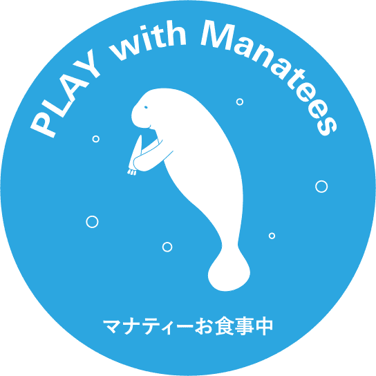 Water Journey In Ginza 水の循環でつながる世界 過去のイベント イベント Metoa Ginza ウェブサイト